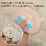 Steam Hair Cleansing and Massage Brush